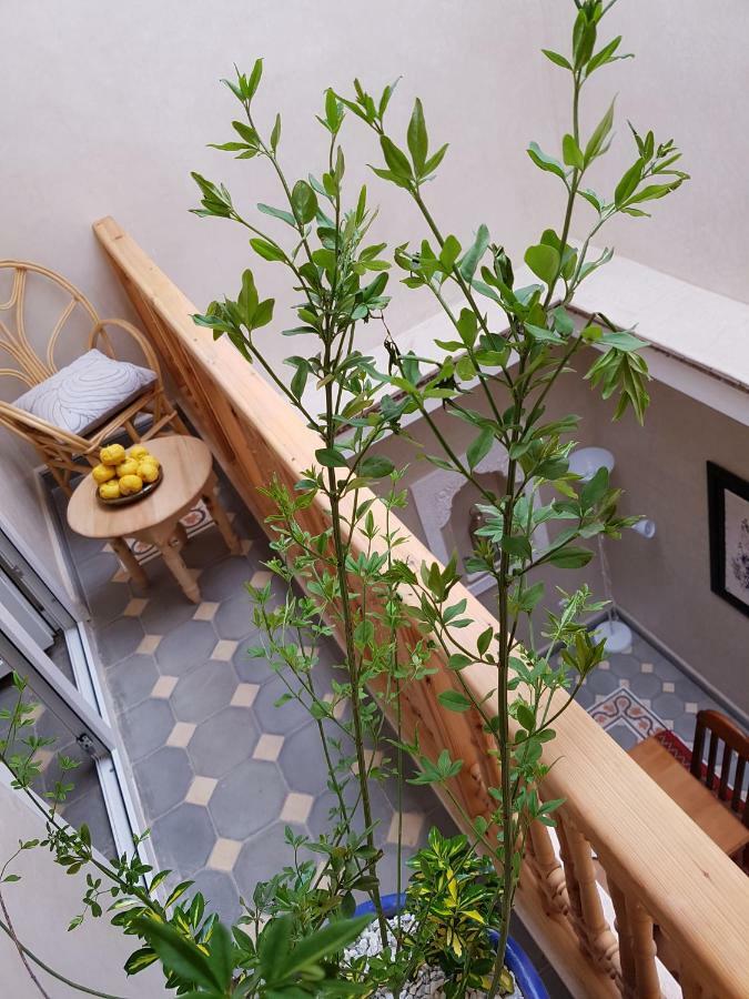 מרקש Riad Espressino Exclusive Marrakech מראה חיצוני תמונה